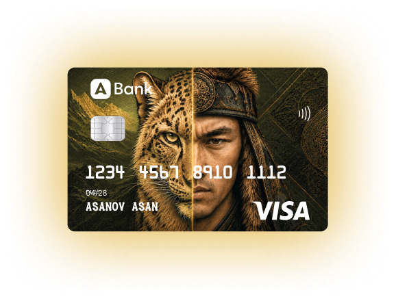 Visa Nomad