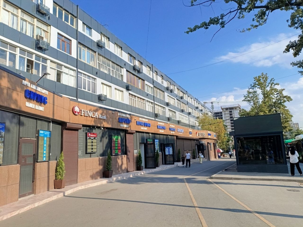 Сүрөт: Kaktus.media