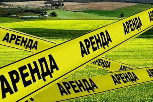 Земельные участки для инвесторов остаются в госсобственности: разъяснения Минэкономики