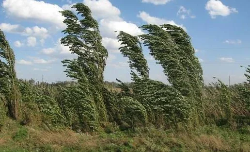 Сүрөт: Кабар (рус.)