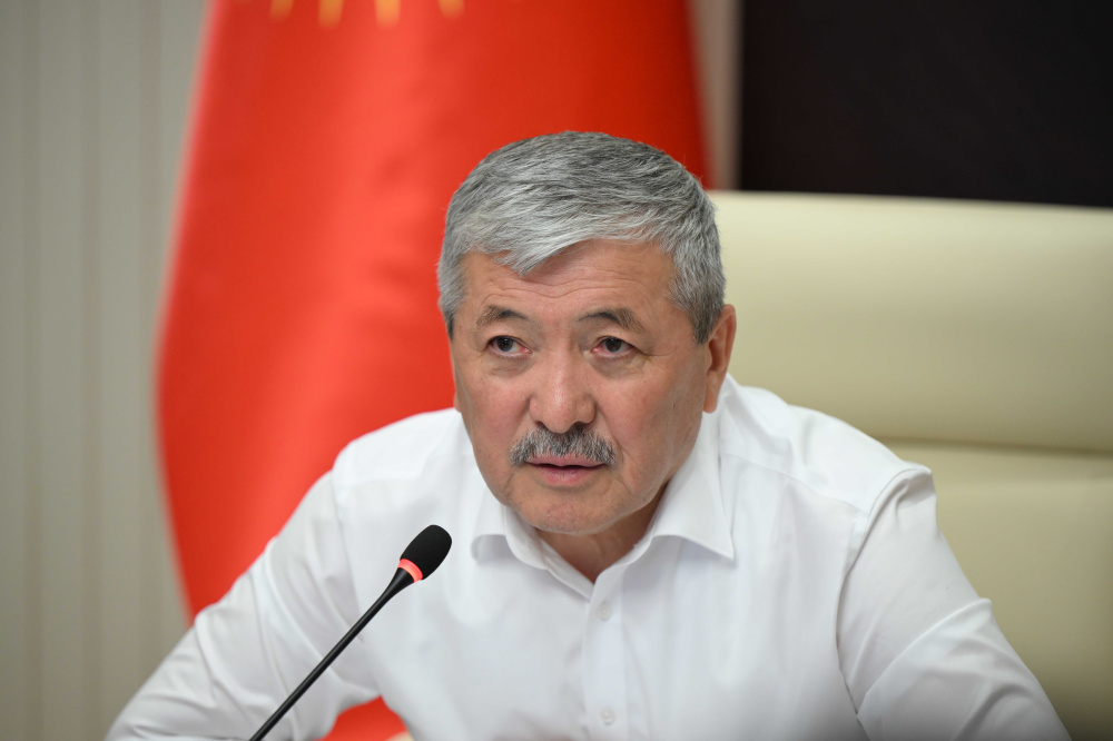Глава кабмина: Жалобы предпринимателей о действиях силовиков продолжаются