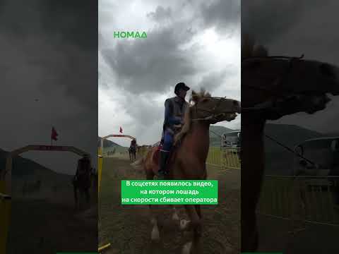 Сүрөт: Номад ТВ (YouTube)