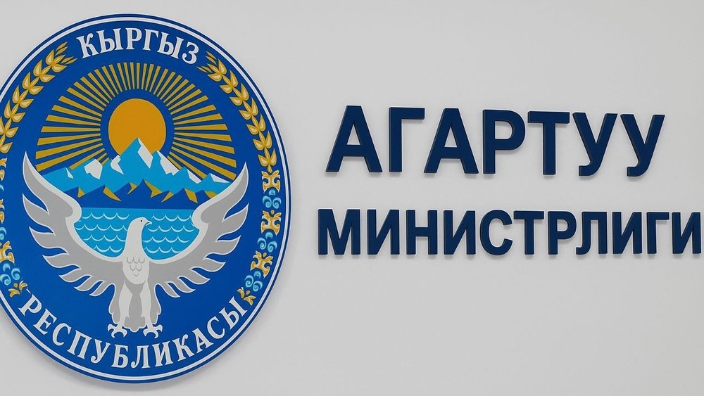 Билим берүү министрлиги мугалимдерге эмгек өргүүсүн берүү тартибин түшүндүрдү