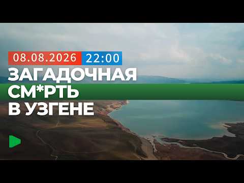 Фото: Номад ТВ (YouTube)