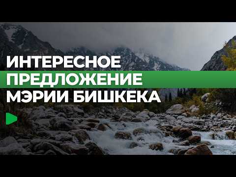 Фото: Номад ТВ (YouTube)