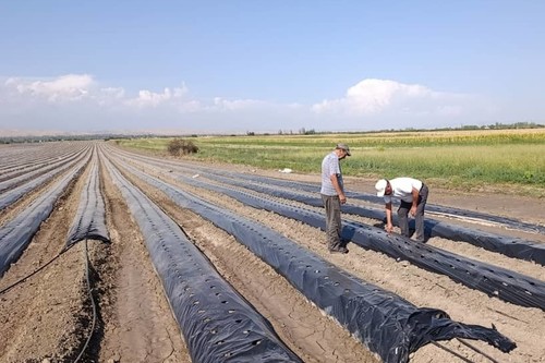 Кыргызстанда сууну үнөмдөө технологияларын киргизүүгө 450 млн доллар керектүү
