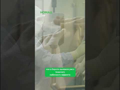 Фото: Номад ТВ (YouTube)