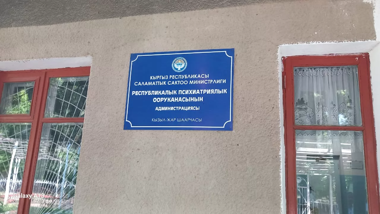 Омбудсмен психиатриялык жардам системасын реформалоону талап кылды