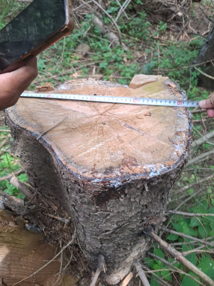 Фото: Kaktus.media