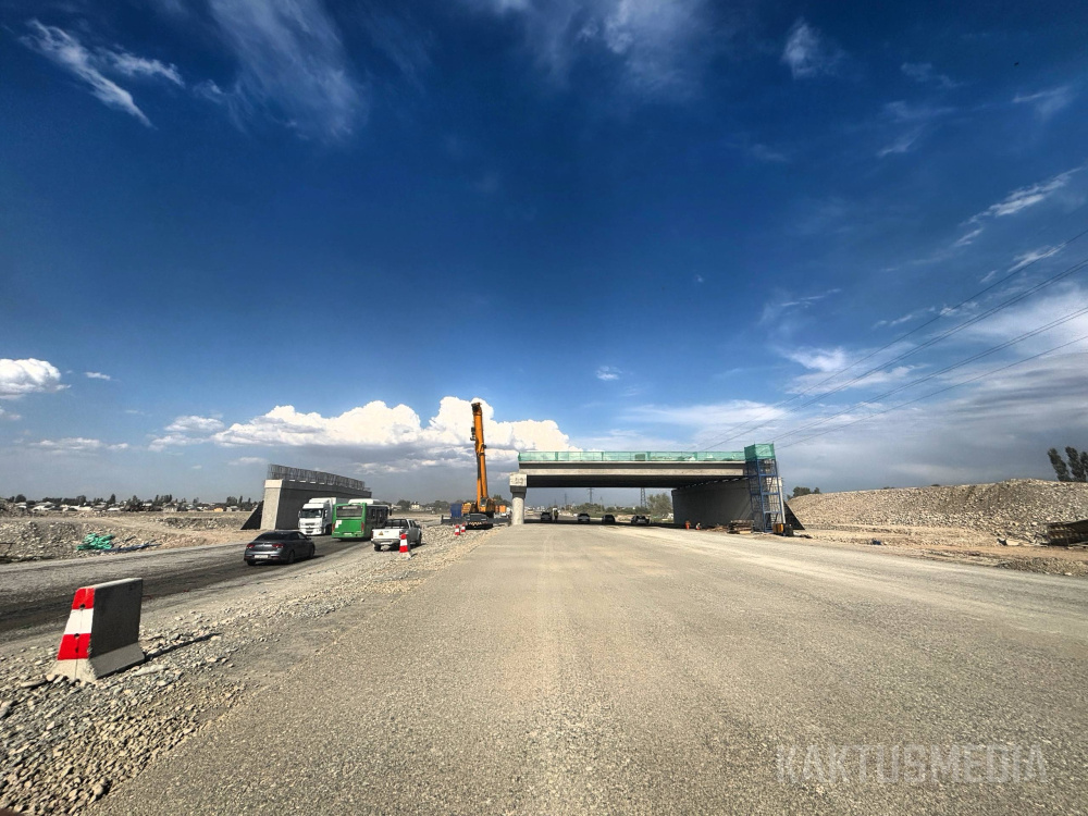 Сүрөт: Kaktus.media