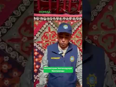 Сүрөт: Номад ТВ (YouTube)