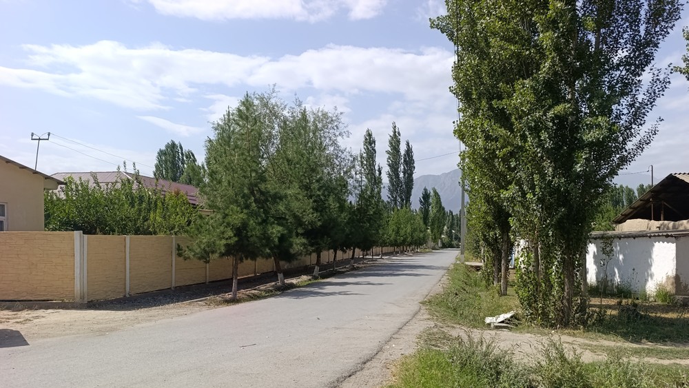 Фото: Turmush
