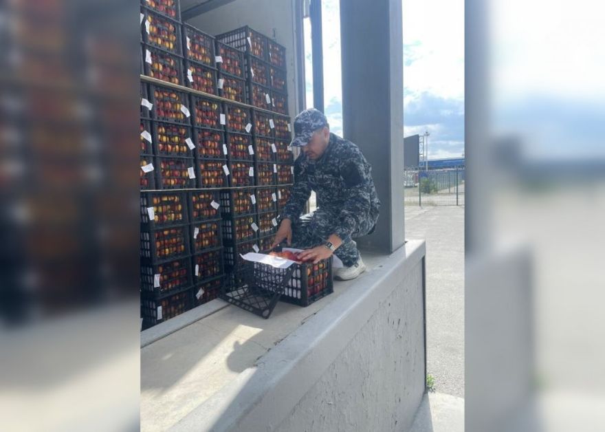 Қазақстан Кырғызстаннан слива мен вишняны енгізуге жол бермеді