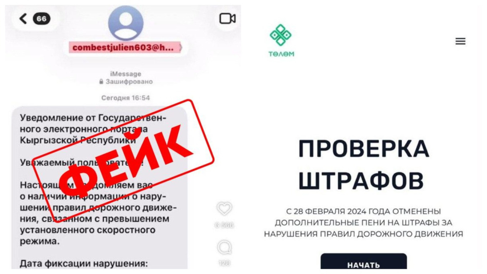 Сүрөт: Kaktus.media