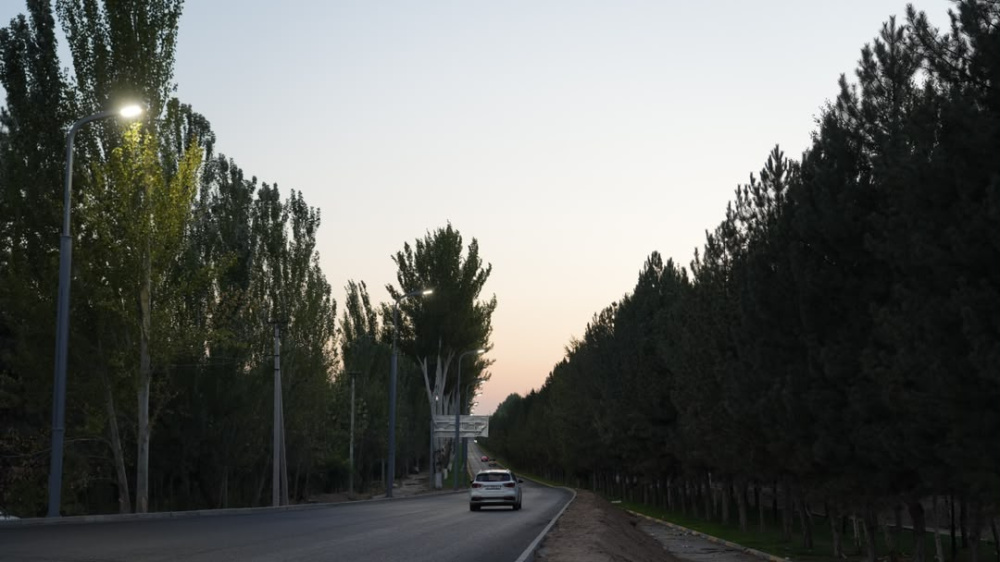 Сүрөт: Kaktus.media