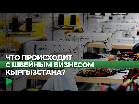 Фото: Номад ТВ (YouTube)