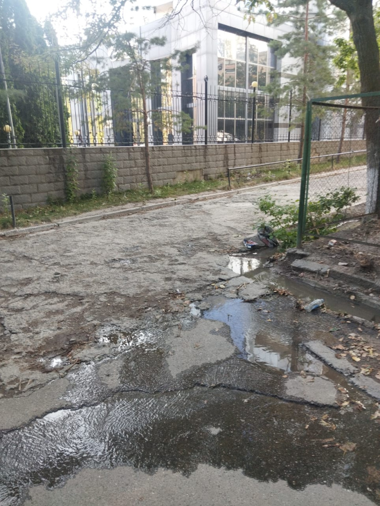 Сүрөт: Kaktus.media