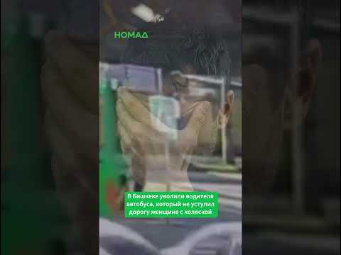 Сүрөт: Номад ТВ (YouTube)