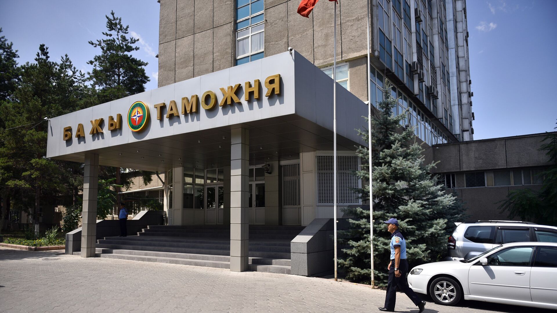 Таможня башкармалыгынын башчысы акысыз кеңешчилерди дайындай алат
