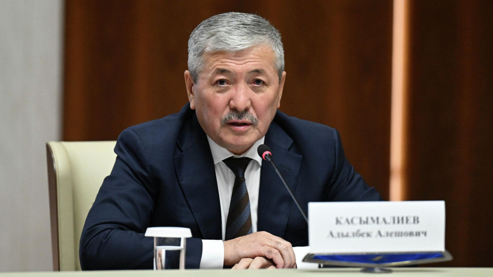 Глава кабмина разъяснил: земля Кыргызстана не продается, а сдается в аренду инвесторам на 49 лет