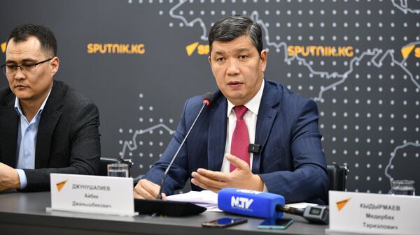 Сүрөт: Sputnik Кыргызстан