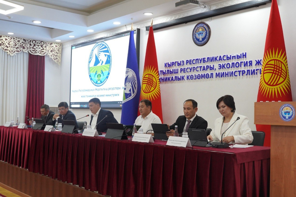 Минприроды представило отчет о проектах: фокус на улучшении качества воздуха и другие инициативы