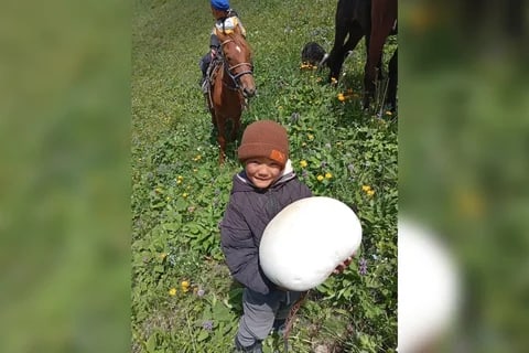 Фото: Кабар (рус.)