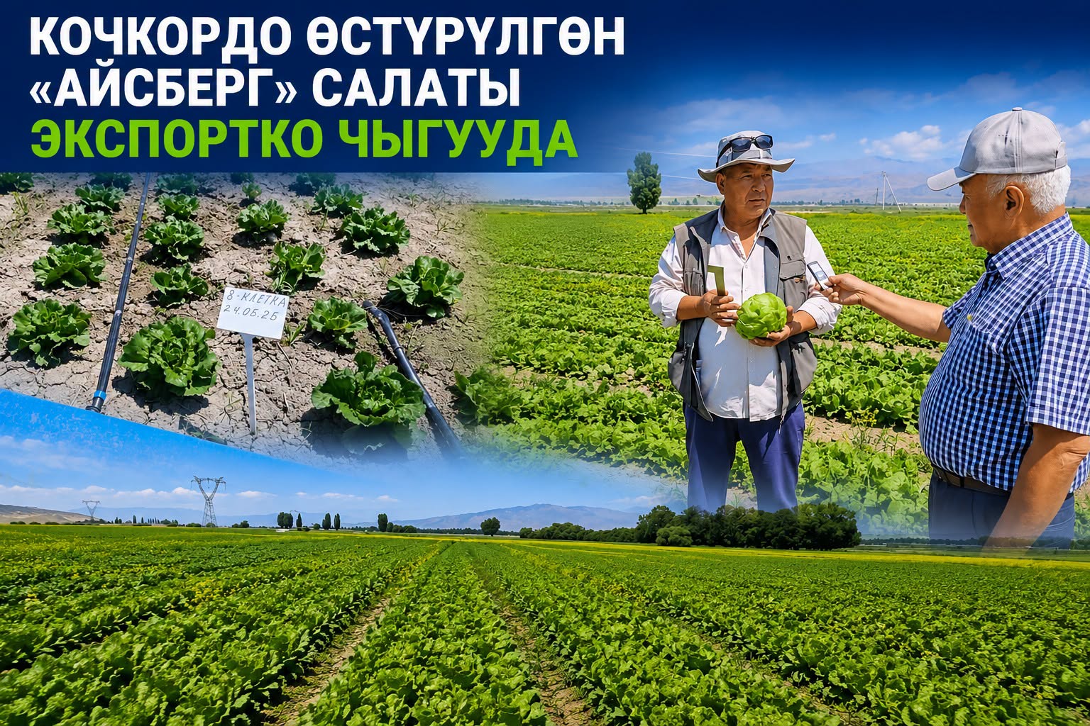 Сүрөт: 24.kg