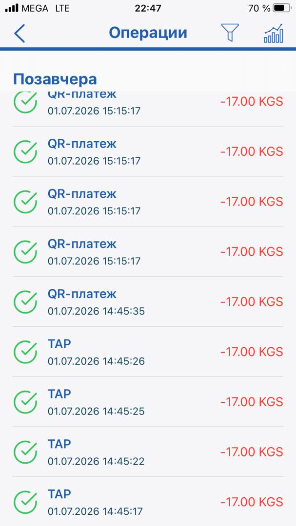 В Бишкеке жалуются на многократные списания средств системой оплаты проезда «Тулпар»