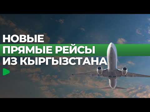 Фото: Номад ТВ (YouTube)