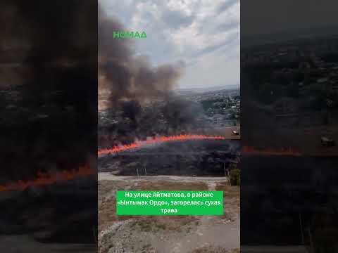 Фото: Номад ТВ (YouTube)