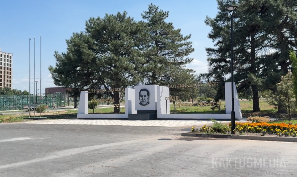 Сүрөт: Kaktus.media