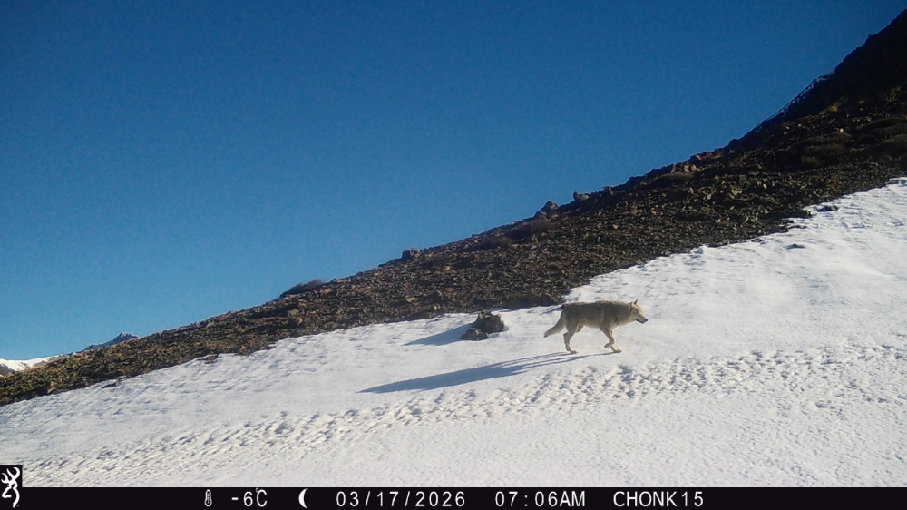 Фото: Kaktus.media