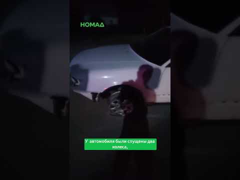 Сүрөт: Номад ТВ (YouTube)