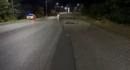 В Джалал-Абадской области водитель сбил пожилого велосипедиста и скрылся с места ДТП