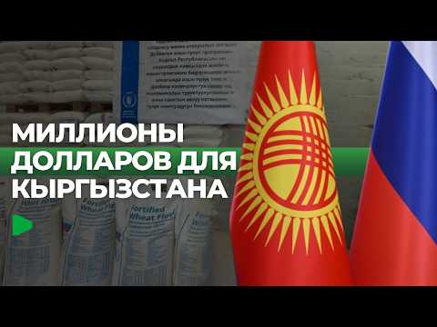 Сүрөт: Номад ТВ (YouTube)