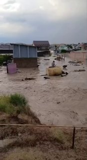 В Кочкор-Ате Джалал-Абадской области произошло наводнение, унесло животных