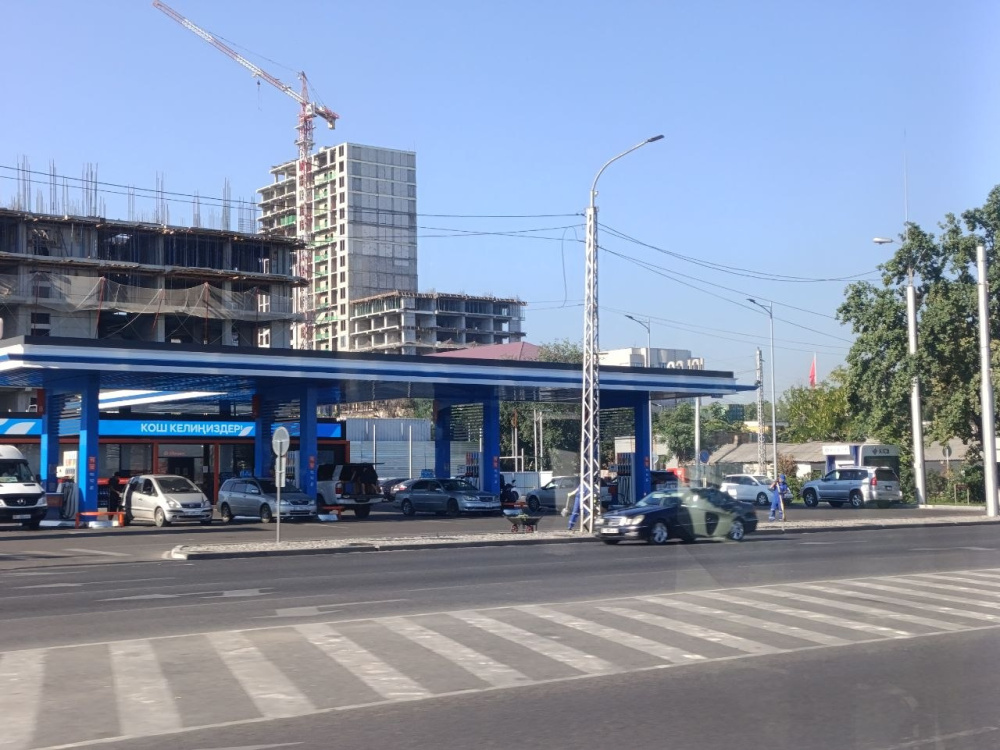 Сүрөт: Kaktus.media