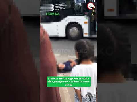 Сүрөт: Номад ТВ (YouTube)