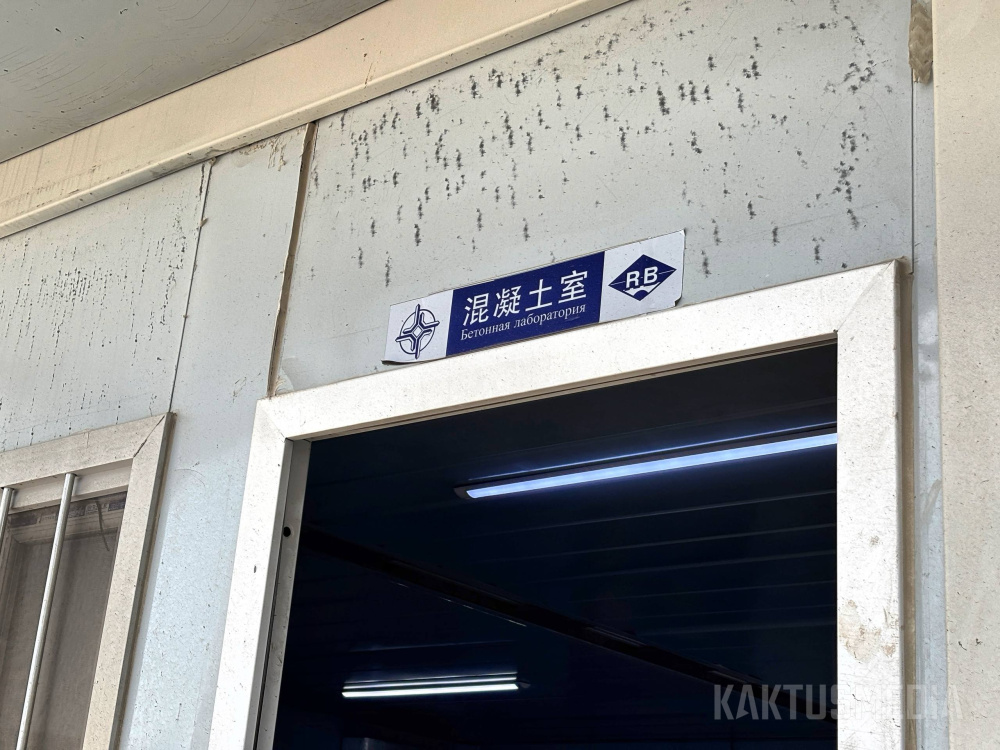 Сүрөт: Kaktus.media