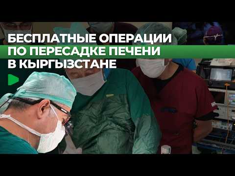 Сүрөт: Номад ТВ (YouTube)