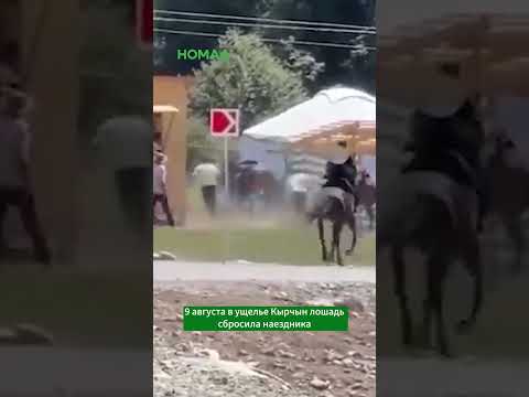 Сүрөт: Номад ТВ (YouTube)