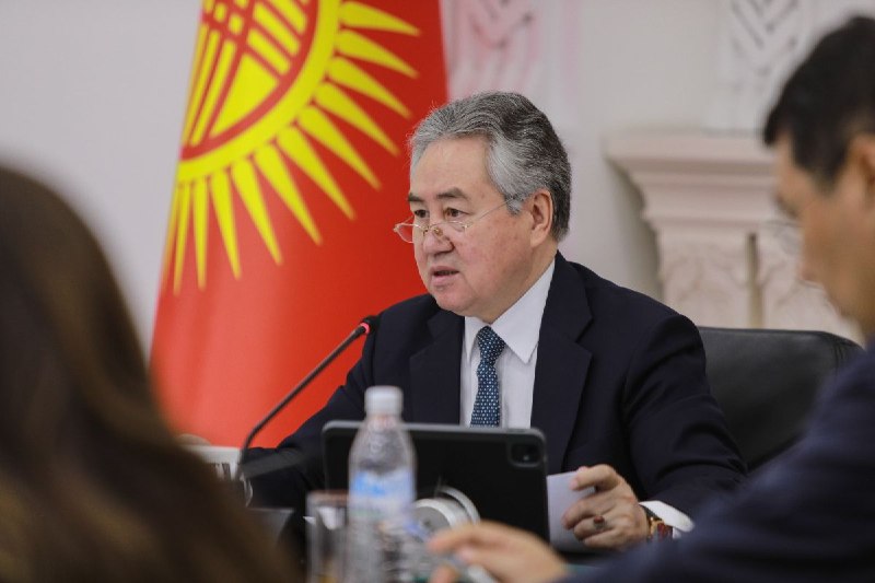 Кыргызстандын Тышкы иштер министрлиги башчысы чет өлкөлөрдөгү диพลматиялык өкүлчүлүктөрдүн ишин сынга алды