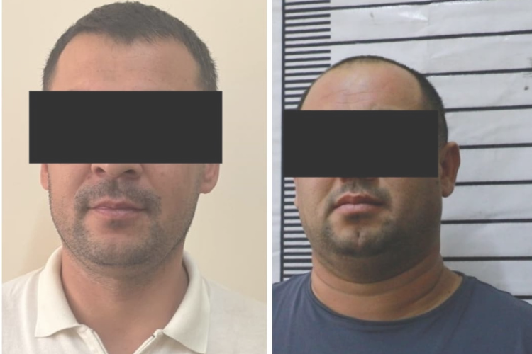 Сүрөт: 24.kg