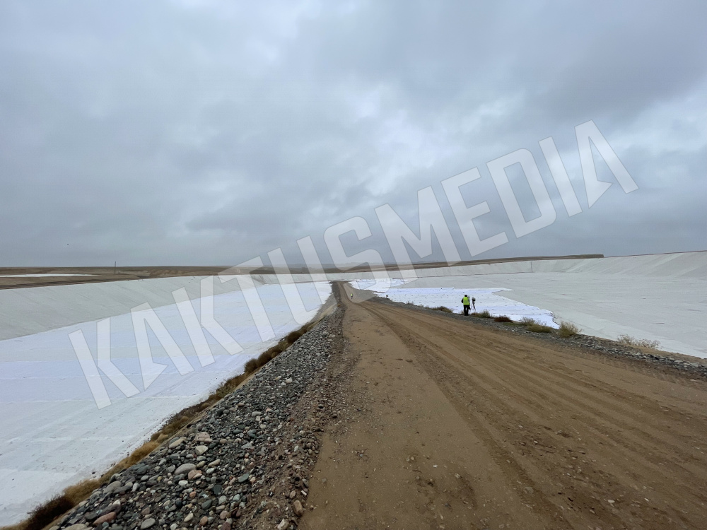 Сүрөт: Kaktus.media