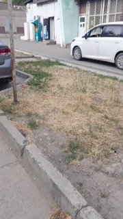 Кок-Жарда чет өлкөлүк номерлүү унаа кайрадан тротуар менен жүрдү