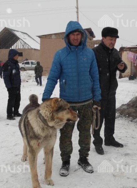 Темирбек Хакимов