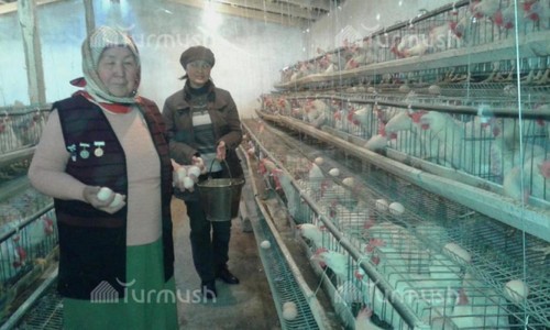 Данияр Усупбаев