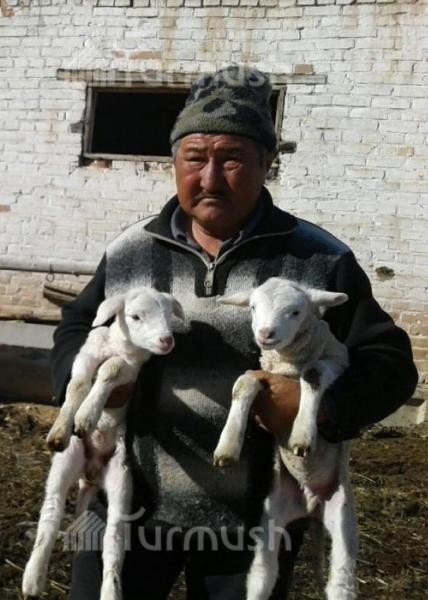 Туратбек Усупбаев