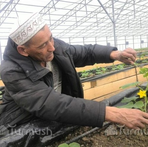 Аманалиев Султан